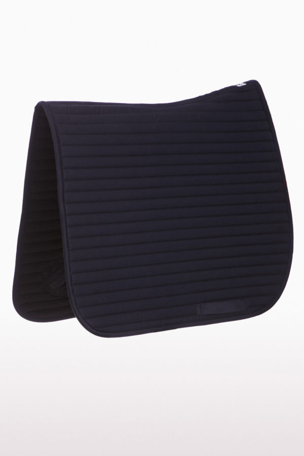 TAPIS_1_bg